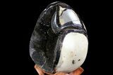 Septarian Dragon Egg Geode - Black Crystals #72004-2